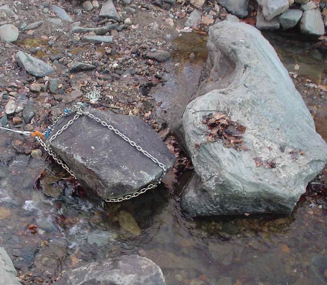 unknown_1.jpg