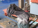 DSCN0856