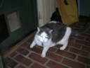 DSCN1727