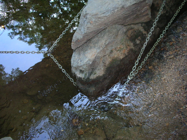 DSCN1226
