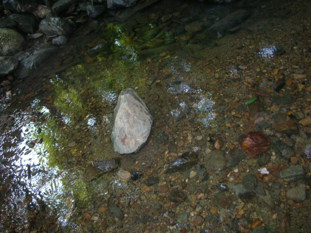 DSCN1460