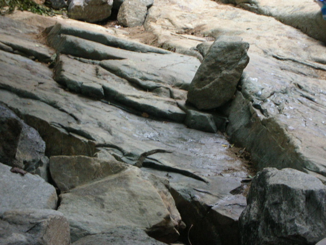 DSCN1931