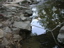 DSCN1223