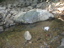 DSCN1461