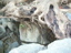 DSCN1806