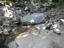 DSCN2186