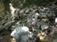 DSCN2194