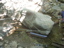 DSCN2259