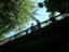 DSCN2272
