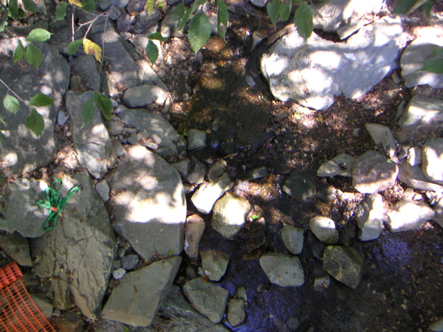 PICT0097
