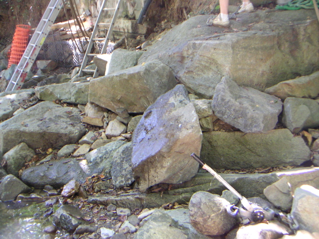PICT0110
