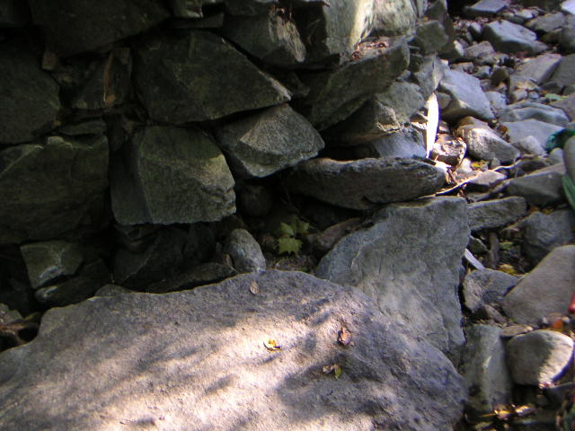 PICT0346