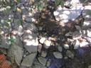 PICT0097