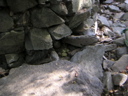 PICT0346